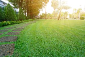 Pattern,Of,Laterite,Stepping,Stone,On,A,Green,Lawn,Backyard